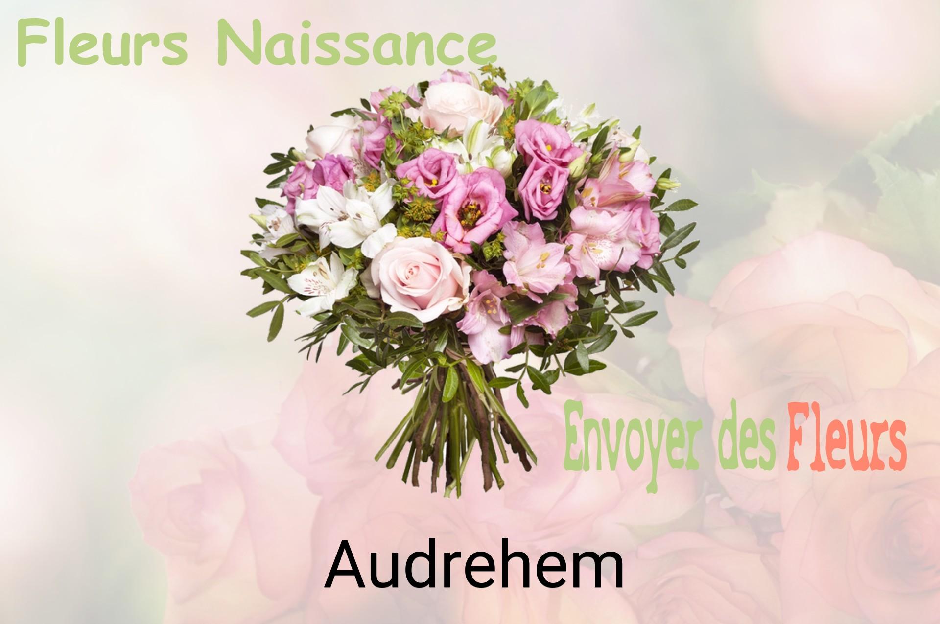 Bouquet de fleurs de naissance livré à Audrehem